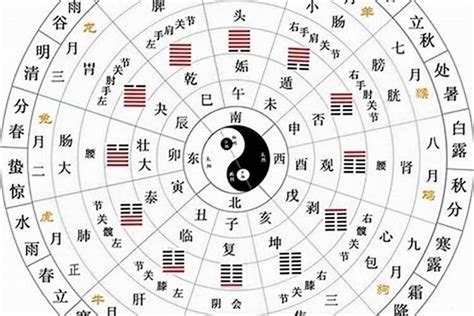 丁五行|十天干十二地支